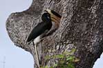 Wilpattu National Park 210th to 13th May 2025