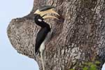 Wilpattu National Park 210th to 13th May 2025