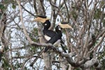 10th March 2018 Notes on Field Trips Wilpattu National Park