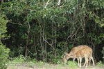 Notes on Field Trips Wilpattu National Park