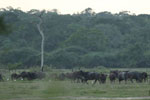 Notes on Field Trips Wilpattu National Park