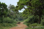 Notes on Field Trips Wilpattu National Park