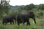 Notes on Field Trips Wilpattu National Park