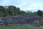 Notes on Field Trips Wilpattu National Park