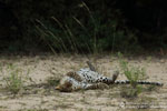 Notes on Field Trips Wilpattu National Park