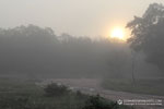 Notes on Field Trips Wilpattu National Park