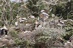 Wilpattu National Park 211th to 17th August 2025