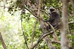Wilpattu National Park 211th to 17th August 2025