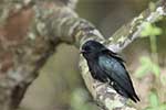 Wilpattu National Park 211th to 17th August 2025