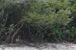 Wilpattu National Park 211th to 17th August 2025