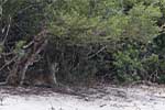 Wilpattu National Park 211th to 17th August 2025