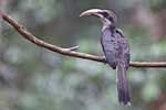 Wilpattu National Park 211th to 17th August 2025