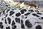 Wilpattu National Park 211th to 17th August 2025