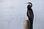 Wilpattu National Park 211th to 17th August 2025
