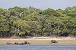 Wilpattu National Park 211th to 17th August 2025