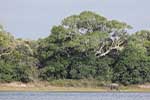 Wilpattu National Park 211th to 17th August 2025