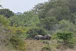 Wilpattu National Park 211th to 17th August 2025