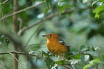 Notes on Field Trips Wilpattu National Park