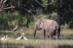 Wilpattu National Park 13-17 January 2022