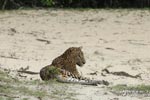 Notes on Field Trips Wilpattu National Park