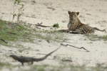 Notes on Field Trips Wilpattu National Park