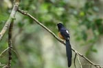 Notes on Field Trips Wilpattu National Park