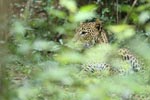 Notes on Field Trips Wilpattu National Park