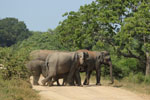 Notes on Field Trips Wilpattu National Park