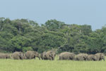 Notes on Field Trips Wilpattu National Park