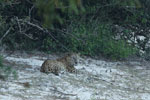 Notes on Field Trips Wilpattu National Park