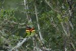 Notes on Field Trips Wilpattu National Park