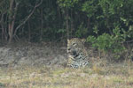 Notes on Field Trips Wilpattu National Park