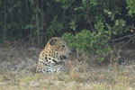 Notes on Field Trips Wilpattu National Park