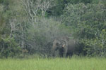 Notes on Field Trips Wilpattu National Park