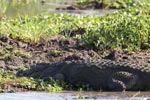 Wilpattu National ParkPark 14th to 17th December 2019