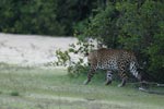 Notes on Field Trips Wilpattu National Park