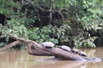 Wilpattu National Park 14th November 2021