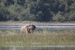 Notes on Field Trips Wilpattu National Park