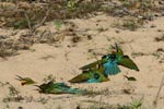 Notes on Field Trips Wilpattu National Park