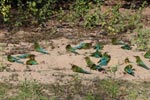 Notes on Field Trips Wilpattu National Park