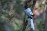 Notes on Field Trips Wilpattu National Park