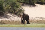 Wilpattu National Park 15th - 18th April 2021