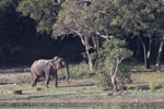 16-19-November-2017Notes on Field Trips Wilpattu National Park