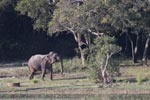  16-19-November-2017Notes on Field Trips Wilpattu National Park