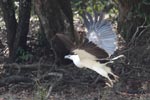 Notes on Field Trips Wilpattu National Park