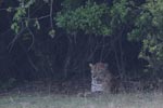 Notes on Field Trips Wilpattu National Park