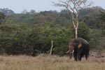 Notes on Field Trips Wilpattu National Park