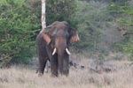 Notes on Field Trips Wilpattu National Park