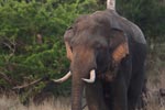 Notes on Field Trips Wilpattu National Park