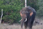 Notes on Field Trips Wilpattu National Park